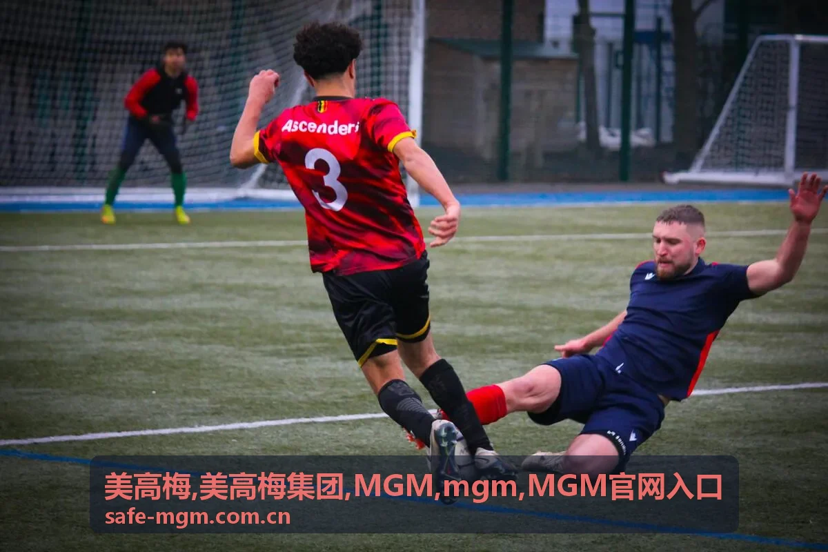 MGM官网入口识别说明封面