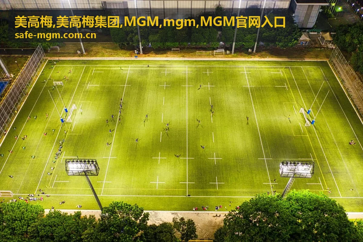 美高梅 MGM 访问提示封面